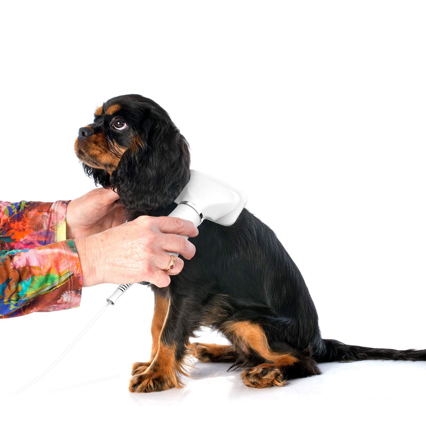 Secador profesional para mascotas 2 en 1